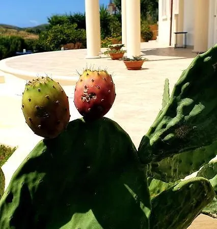 Domus Mare Cilento Bed & Breakfast *