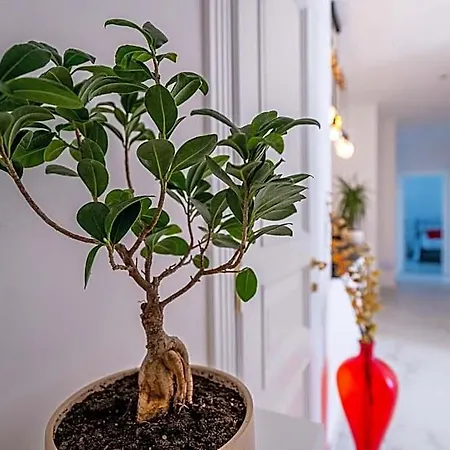 Domus Mare Cilento Отель типа 