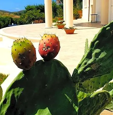 Domus Mare Cilento Отель типа 